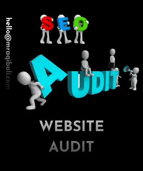 Website Audit